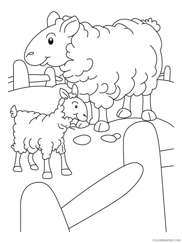 Lamb Coloring Pages Animal Printable Sheets animals lamb 11 2021 3109 Coloring4free