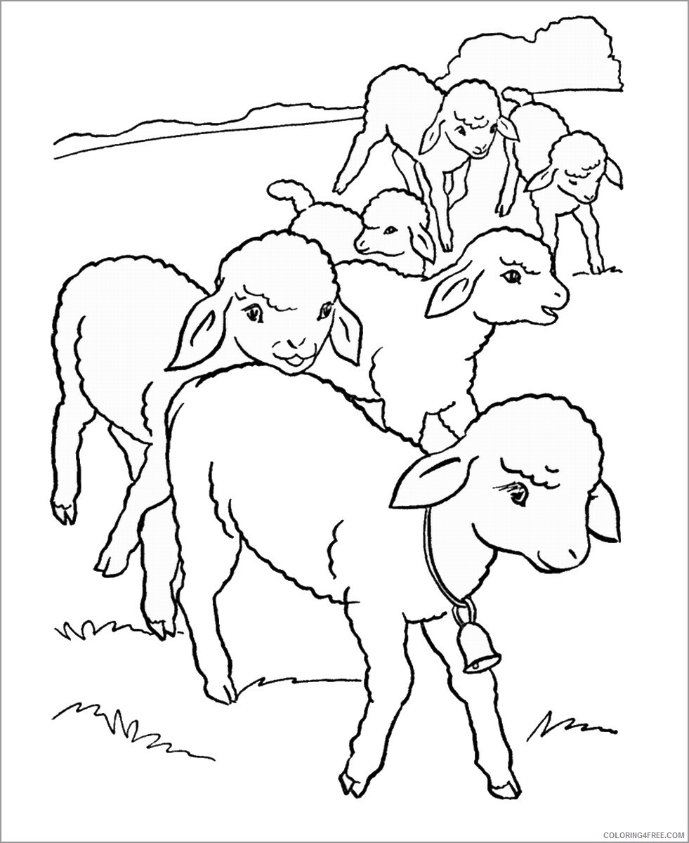 Lamb Coloring Pages Animal Printable Sheets drawn lamb 2021 3119 Coloring4free