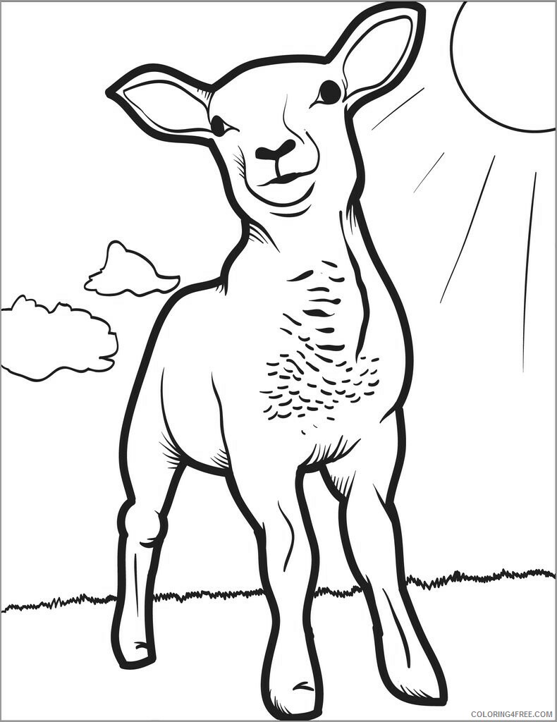 Lamb Coloring Pages Animal Printable Sheets lamb free 2021 3126 Coloring4free