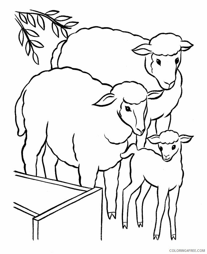 Lamb Coloring Pages Animal Printable Sheets of Sheep and Lamb 2021 3116 Coloring4free
