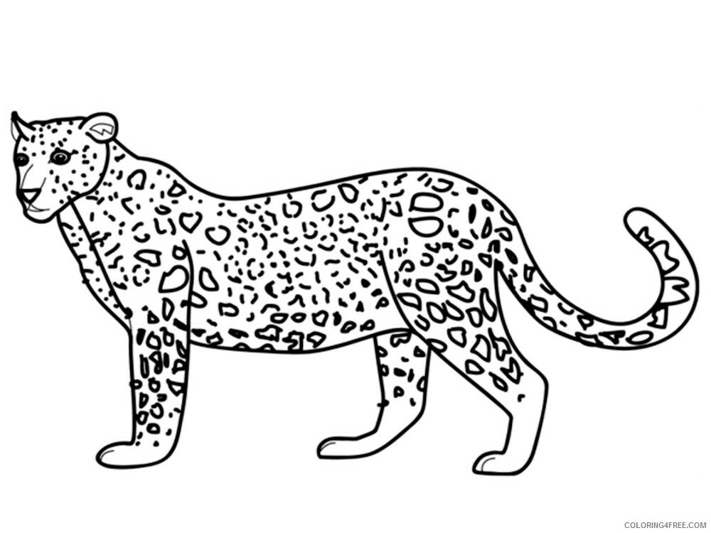 Leopard Coloring Pages Animal Printable Sheets Leopard animal 341 2021 3141 Coloring4free