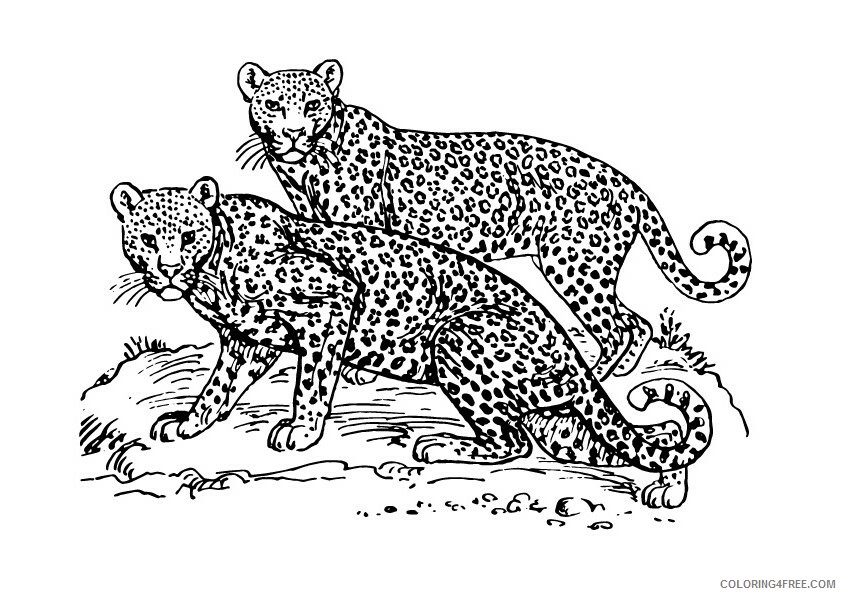 Leopard Coloring Sheets Animal Coloring Pages Printable 2021 2808 Coloring4free