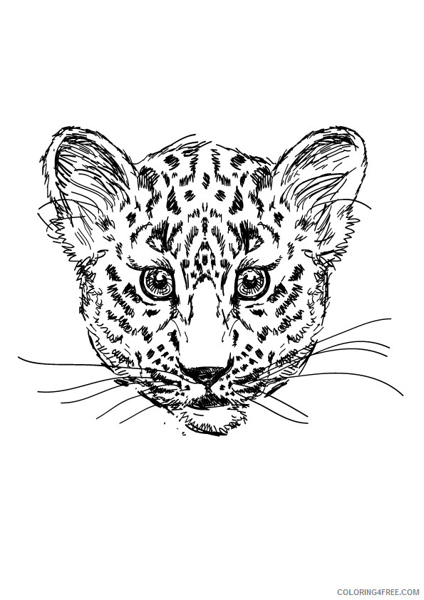 Leopard Coloring Sheets Animal Coloring Pages Printable 2021 2809 Coloring4free