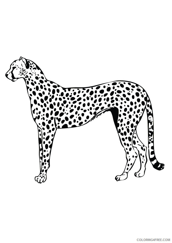 Leopard Coloring Sheets Animal Coloring Pages Printable 2021 2811 Coloring4free
