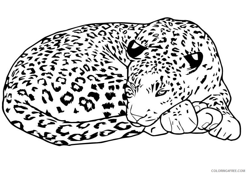 Leopard Coloring Sheets Animal Coloring Pages Printable 2021 2819 Coloring4free