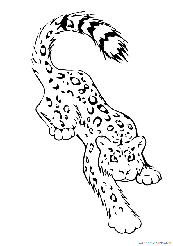 Leopard Coloring Sheets Animal Coloring Pages Printable 2021 2822 Coloring4free