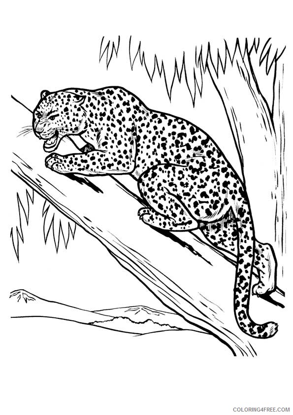 Leopard Coloring Sheets Animal Coloring Pages Printable 2021 2823 Coloring4free