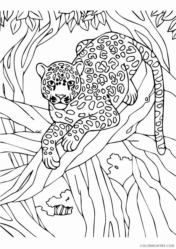 Leopard Coloring Sheets Animal Coloring Pages Printable 2021 2826 Coloring4free