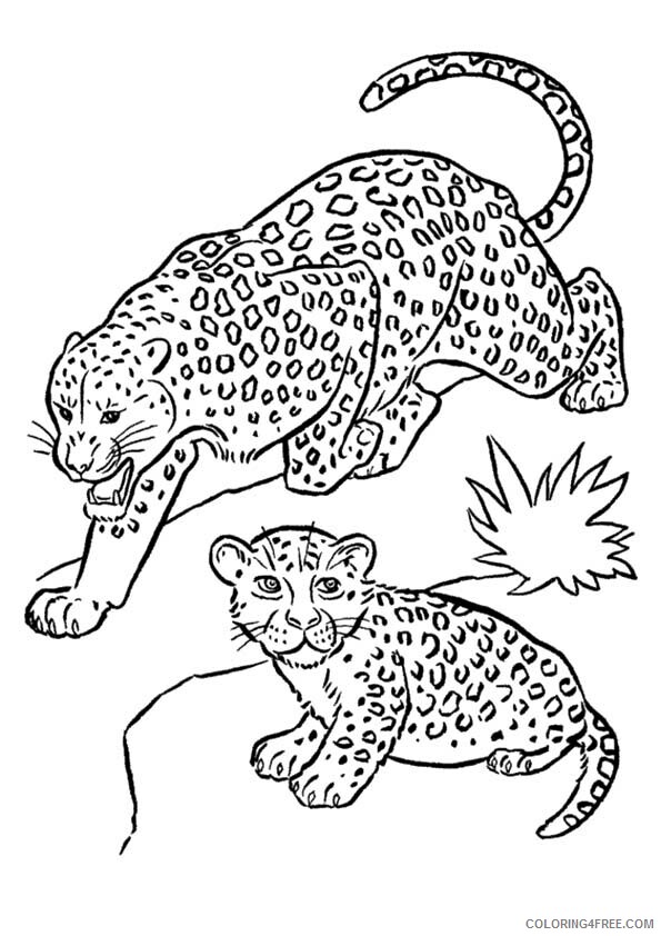 Leopard Coloring Sheets Animal Coloring Pages Printable 2021 2827 Coloring4free