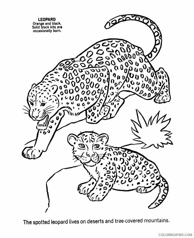 Leopard Coloring Sheets Animal Coloring Pages Printable 2021 2829 Coloring4free