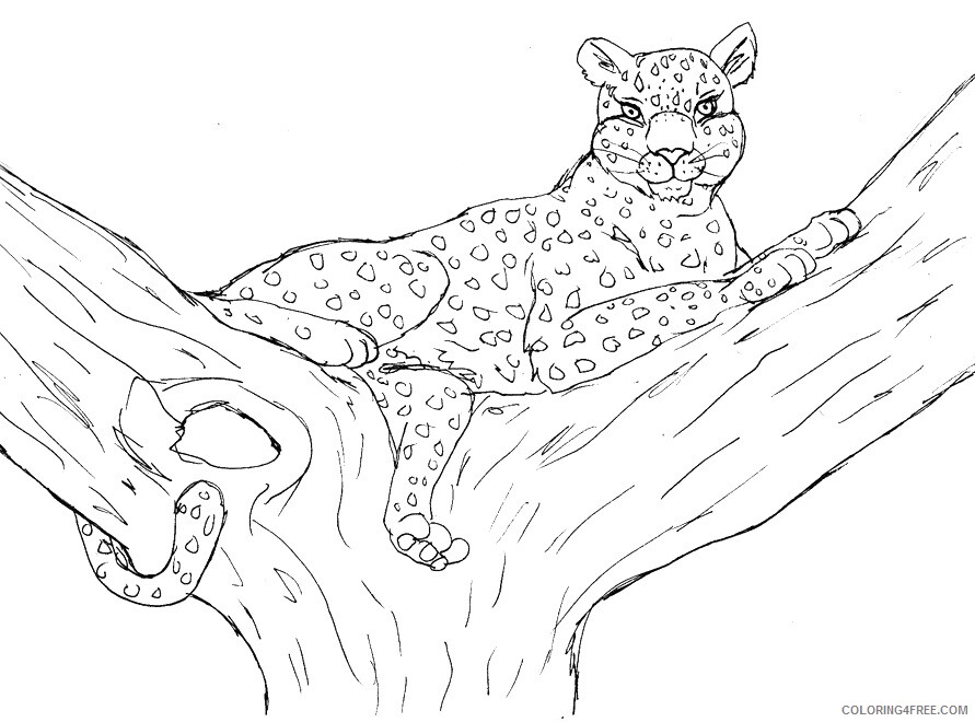 Leopard Coloring Sheets Animal Coloring Pages Printable 2021 2837 Coloring4free