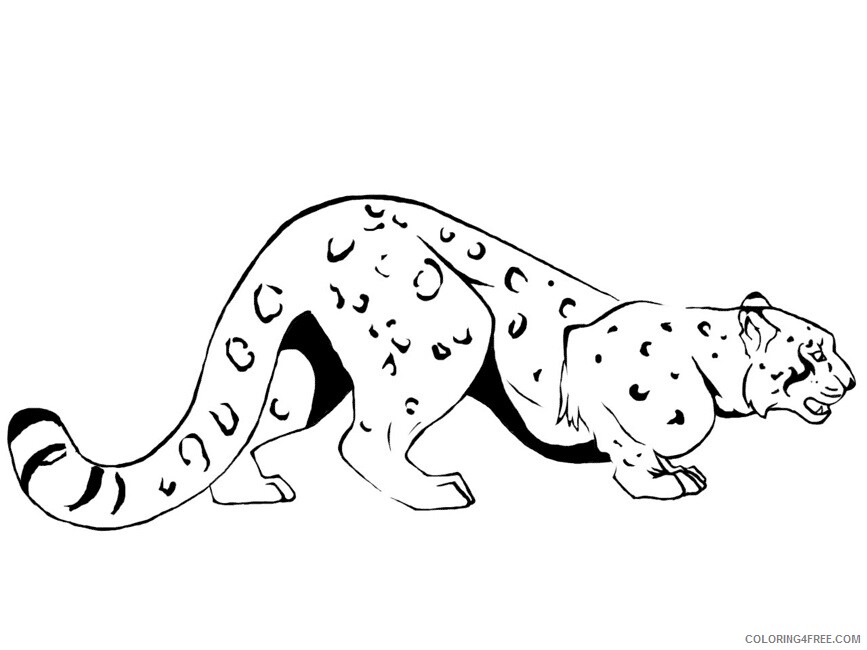 Leopard Coloring Sheets Animal Coloring Pages Printable 2021 2841 Coloring4free