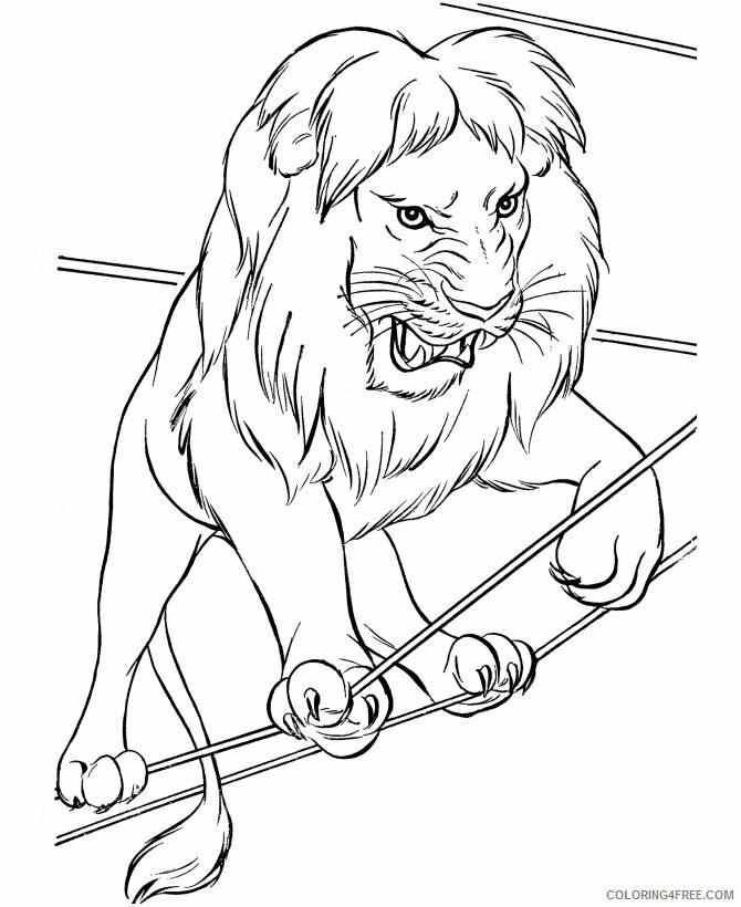 Lion Coloring Pages Animal Printable Sheets Free Lion 2021 3165 Coloring4free