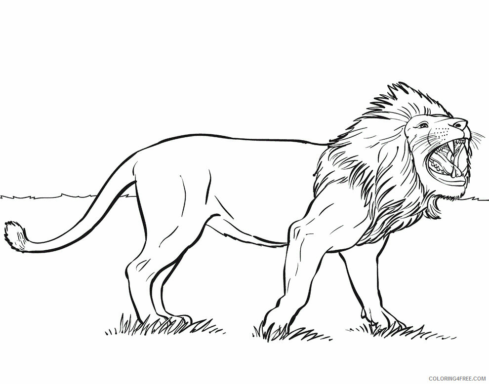 Lion Coloring Pages Animal Printable Sheets Lion 2021 3182 Coloring4free