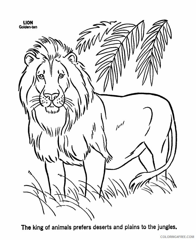 Lion Coloring Pages Animal Printable Sheets Lion 2021 3193 Coloring4free