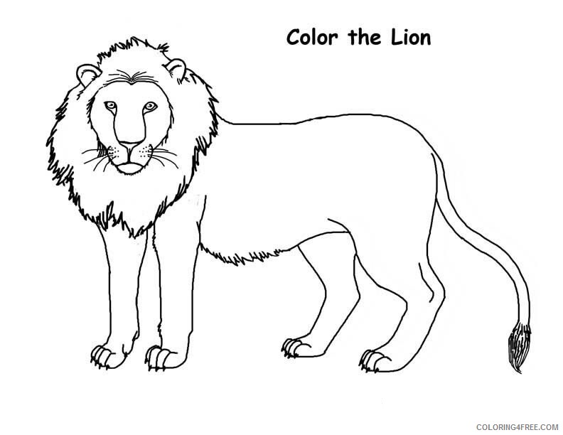 Lion Coloring Pages Animal Printable Sheets Real Lion 2021 3216 Coloring4free