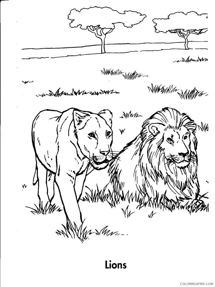 Lion Coloring Pages Animal Printable Sheets animals lion 15 2021 3154 Coloring4free