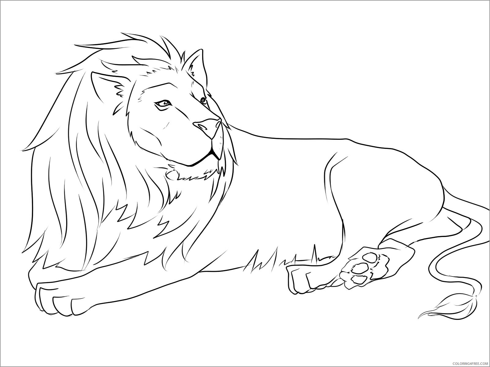 Lion Coloring Pages Animal Printable Sheets easy lion 2021 3163 Coloring4free