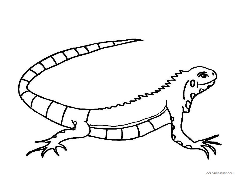 Lizard Coloring Pages Animal Printable Sheets Lizard 2 2021 3223 ...