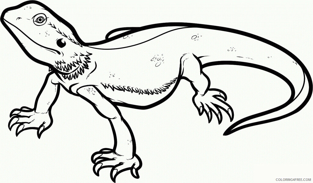 Lizard Coloring Sheets Animal Coloring Pages Printable 2021 2846 Coloring4free