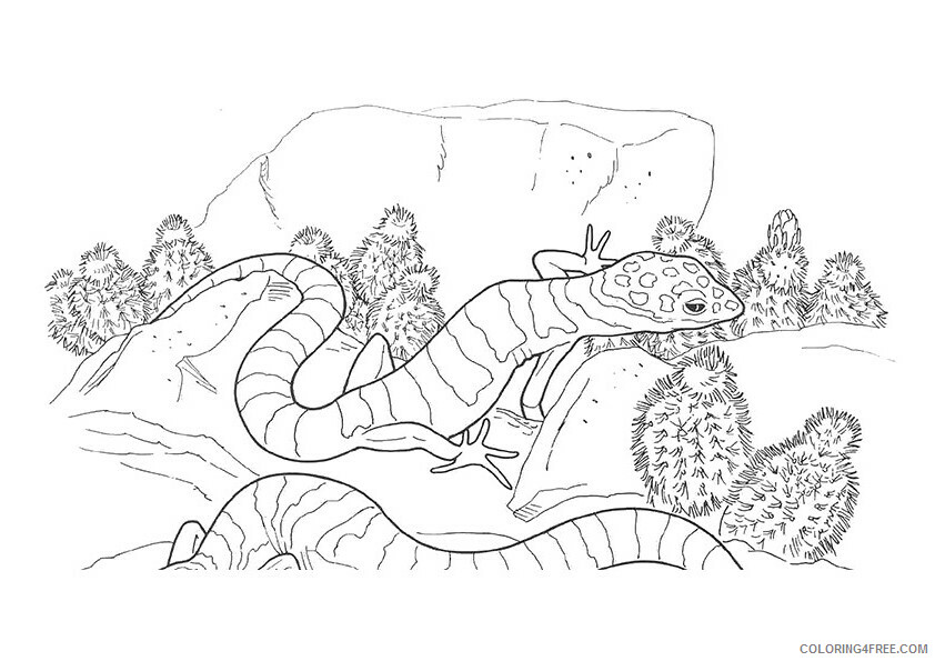 Lizard Coloring Sheets Animal Coloring Pages Printable 2021 2852 Coloring4free