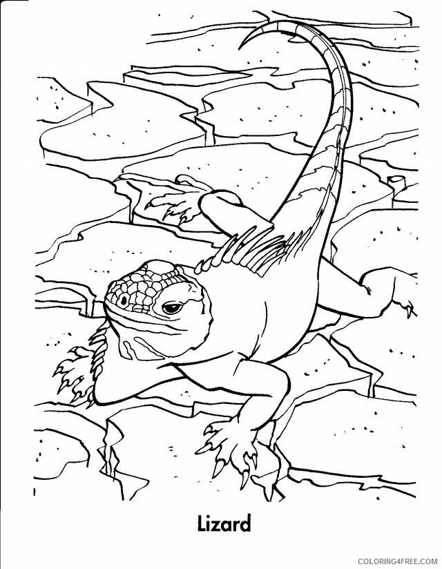 Lizard Coloring Sheets Animal Coloring Pages Printable 2021 2853 Coloring4free