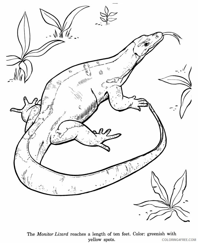 Lizard Coloring Sheets Animal Coloring Pages Printable 2021 2862 Coloring4free