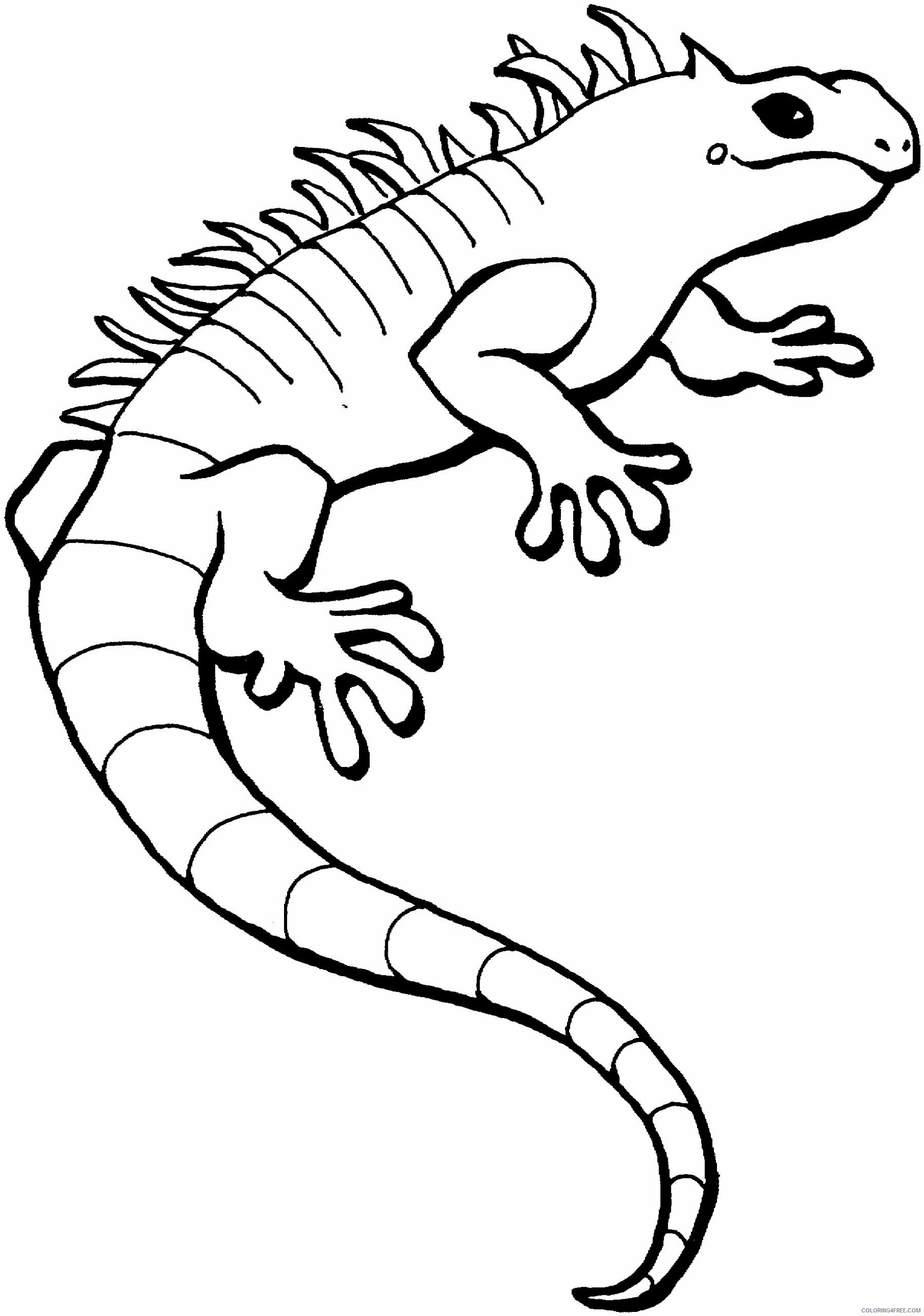 Lizard Coloring Sheets Animal Coloring Pages Printable 2021 2864 Coloring4free