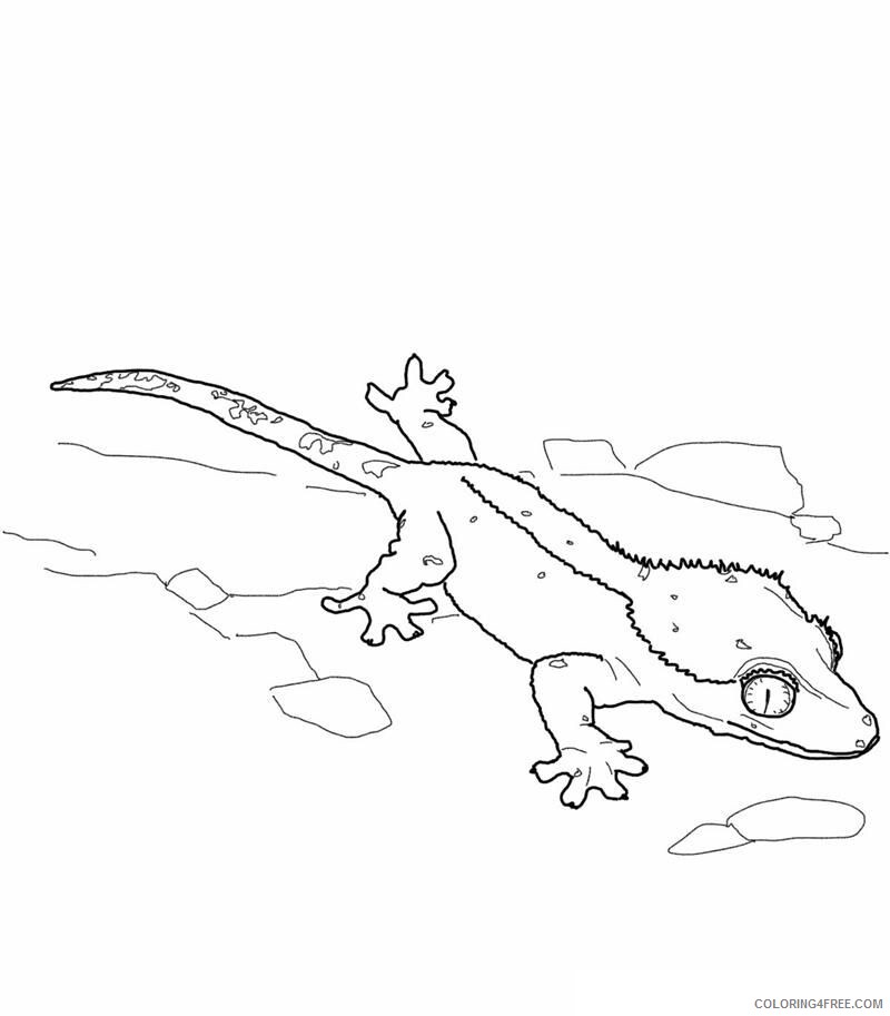 Lizard Coloring Sheets Animal Coloring Pages Printable 2021 2867 Coloring4free