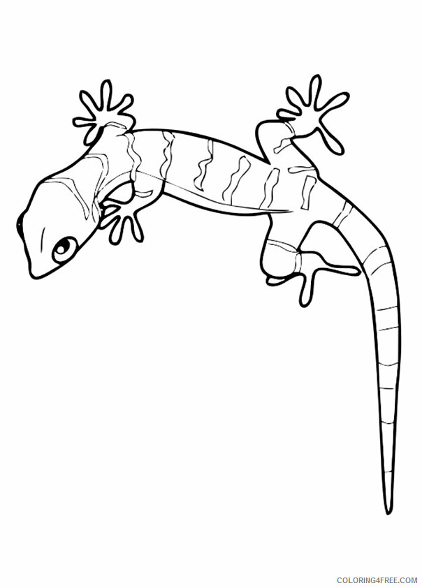 Lizard Coloring Sheets Animal Coloring Pages Printable 2021 2870 Coloring4free