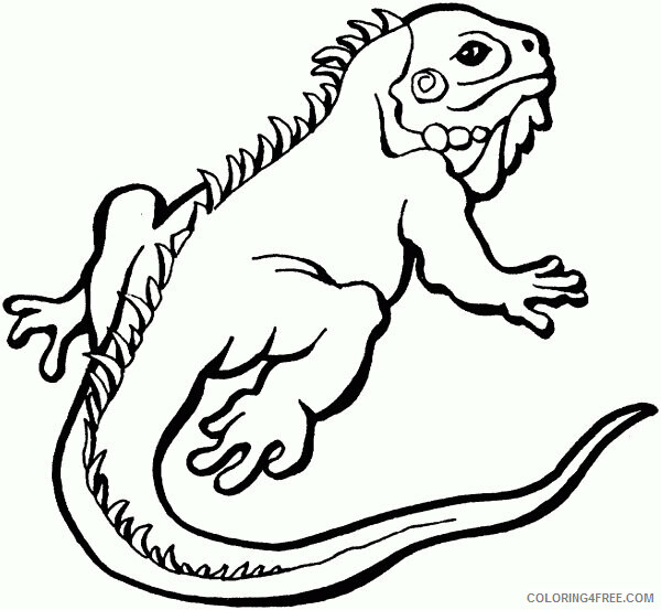 Lizard Coloring Sheets Animal Coloring Pages Printable 2021 2871 Coloring4free