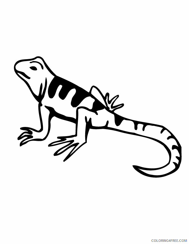 Lizard Coloring Sheets Animal Coloring Pages Printable 2021 2873 Coloring4free