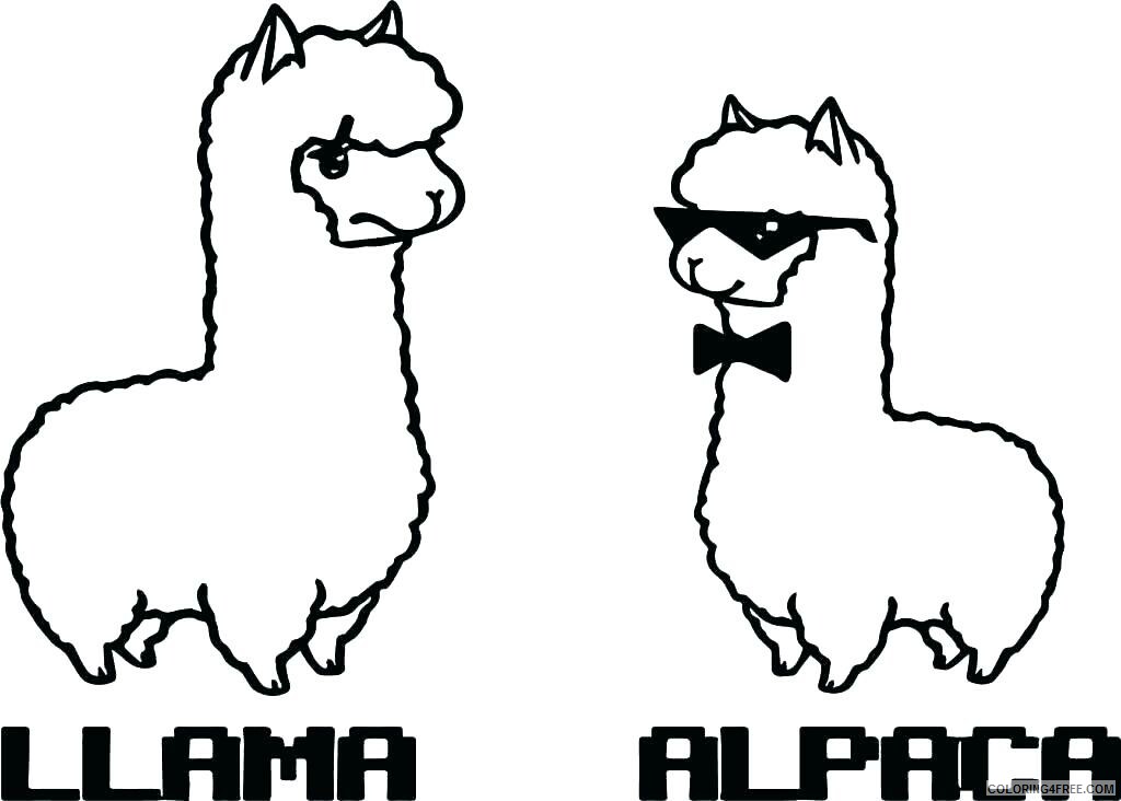 Llama Coloring Pages Animal Printable Sheets Llama and Alpaca Animal 2021 3230 Coloring4free