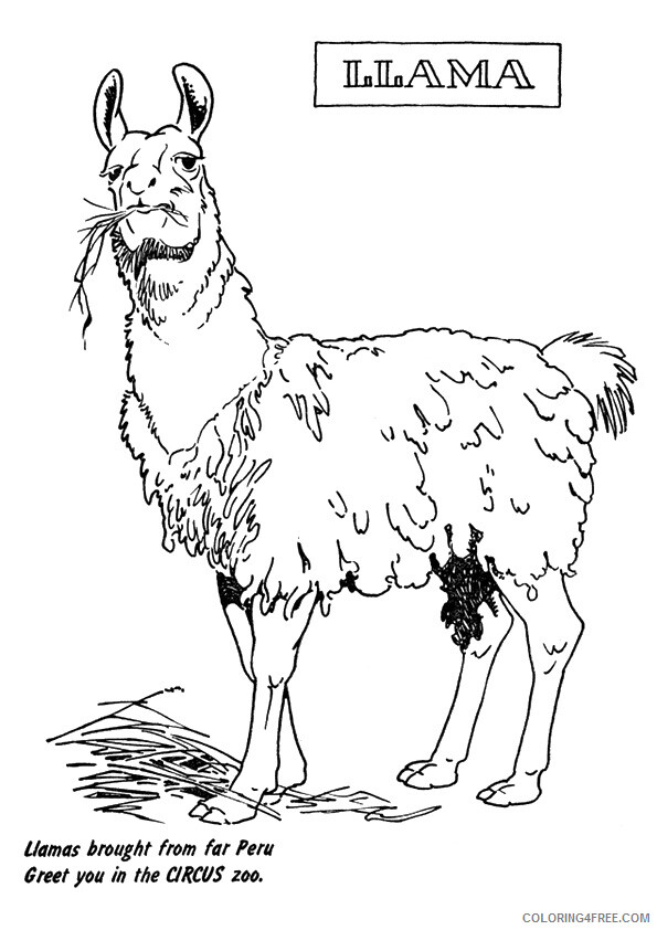 Llama Coloring Sheets Animal Coloring Pages Printable 2021 2877 Coloring4free