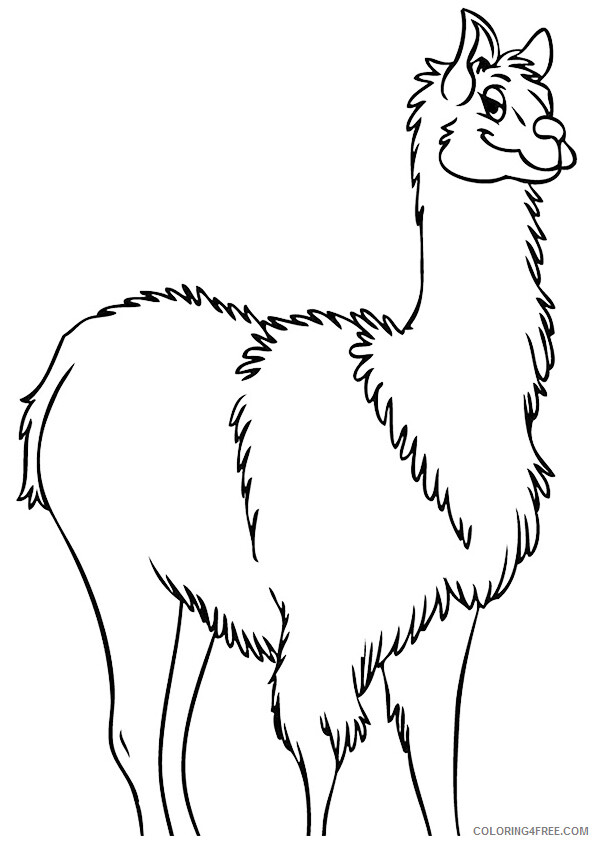 Llama Coloring Sheets Animal Coloring Pages Printable 2021 2879 Coloring4free
