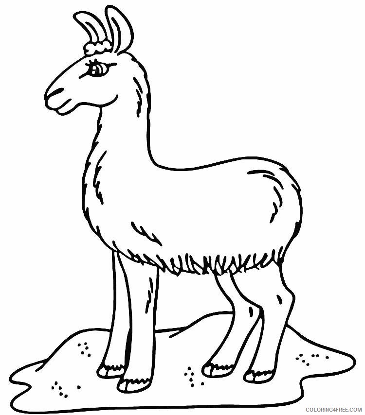 Llama Coloring Sheets Animal Coloring Pages Printable 2021 2881 Coloring4free