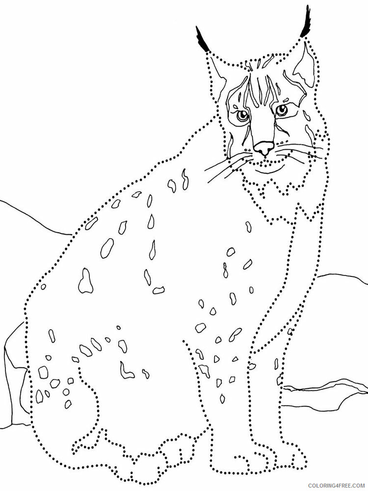 Lynx Coloring Pages Animal Printable Sheets Lynx animal 346 2021 3248 Coloring4free