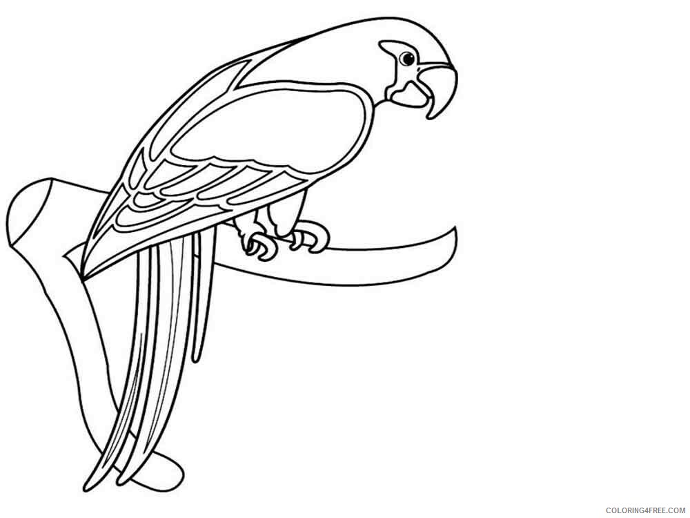 Macaw Coloring Pages Animal Printable Sheets Macaw birds 10 2021 3256 Coloring4free