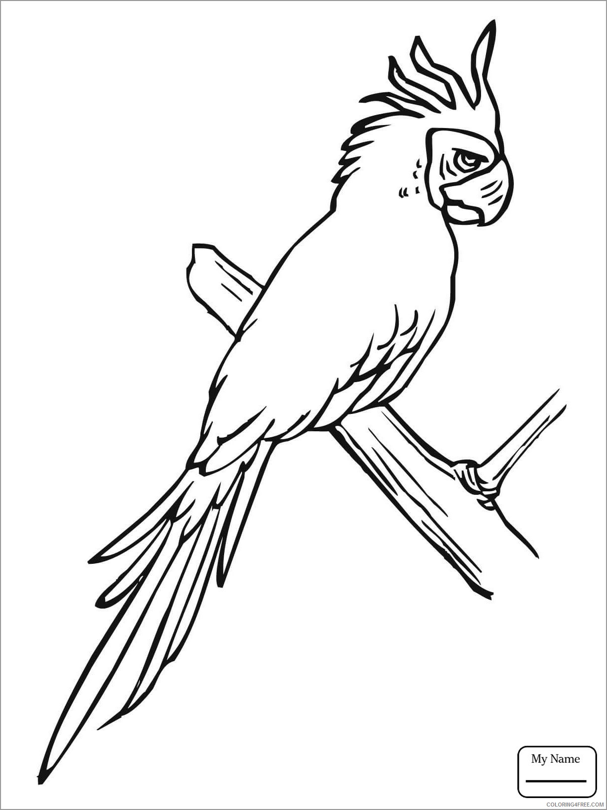 Macaw Coloring Pages Animal Printable Sheets blue macaw 2021 3253 Coloring4free