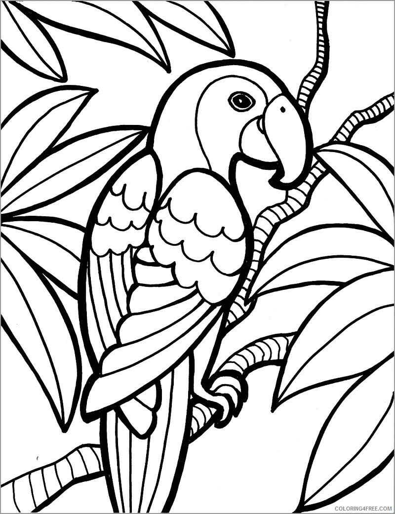 Macaw Coloring Pages Animal Printable Sheets printable macaw 2021 3262 Coloring4free