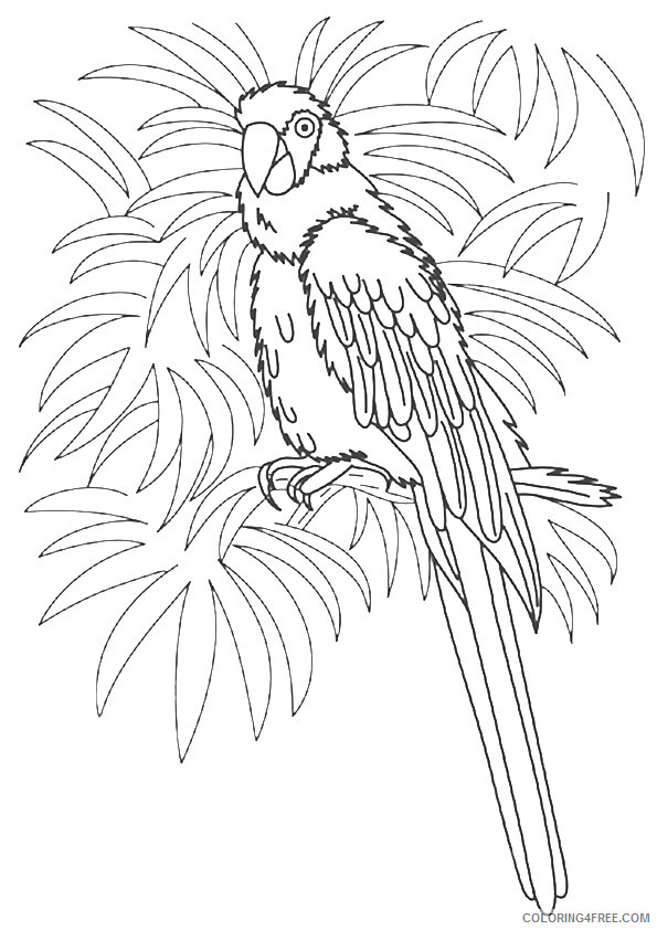 Macaw Coloring Sheets Animal Coloring Pages Printable 2021 2891 Coloring4free