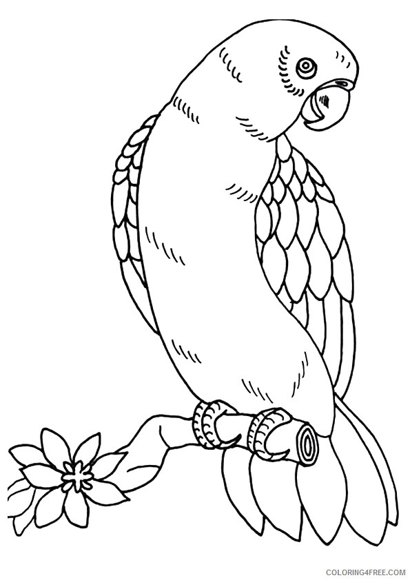 Macaw Coloring Sheets Animal Coloring Pages Printable 2021 2892 Coloring4free