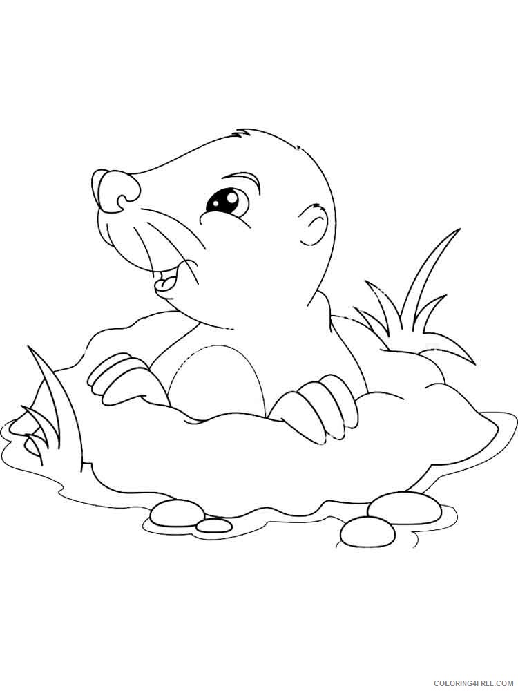 Mole Coloring Pages Animal Printable Sheets mole 9 2021 3280 Coloring4free