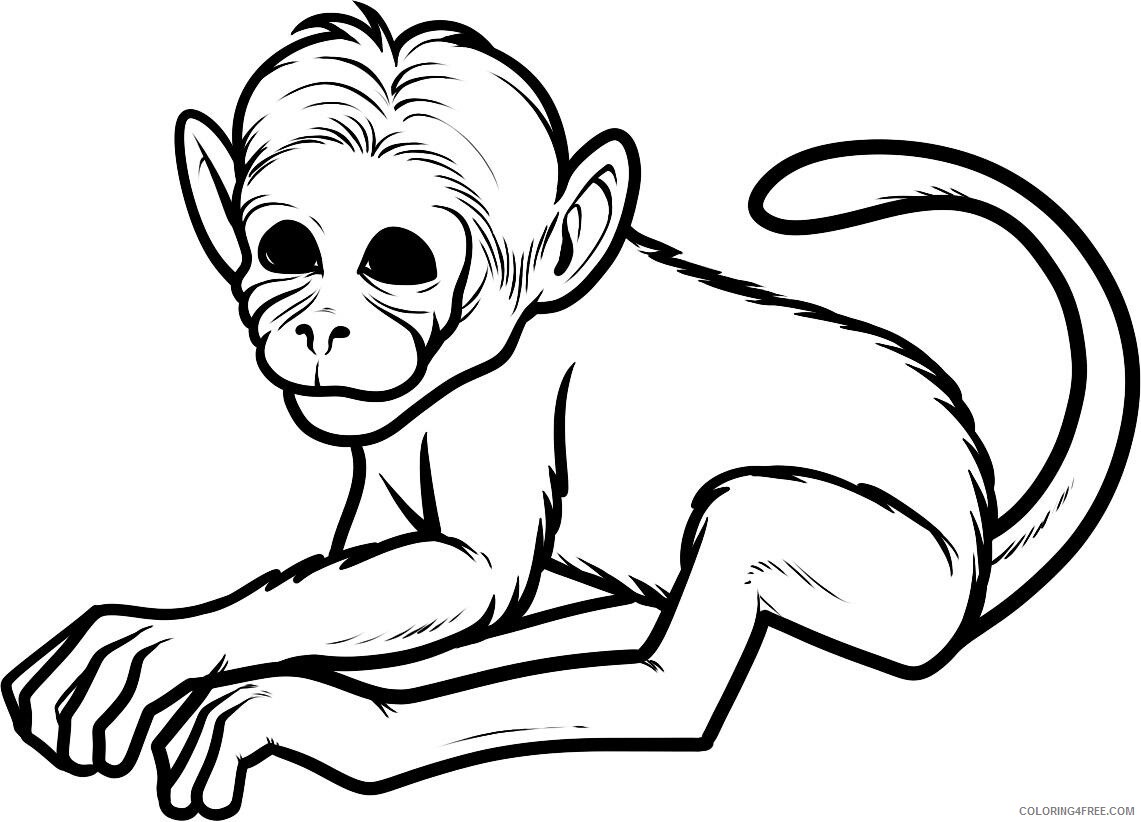 Monkey Coloring Pages Animal Printable Sheets Free Monkey For Kids 2021 3304 Coloring4free