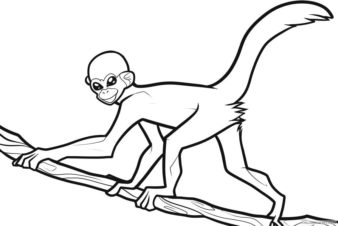 Monkey Coloring Pages Animal Printable Sheets Monkey 2021 3349 Coloring4free