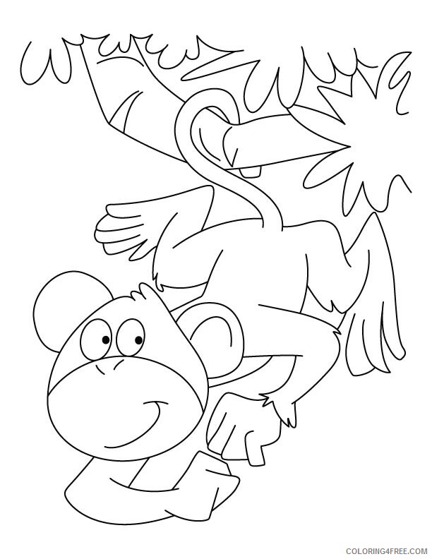 Monkey Coloring Pages Animal Printable Sheets Monkey Free 2021 3344 Coloring4free