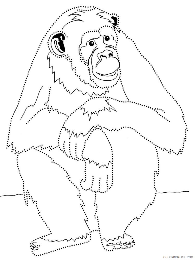 Monkey Coloring Pages Animal Printable Sheets Monkey animal 339 2021 3320 Coloring4free