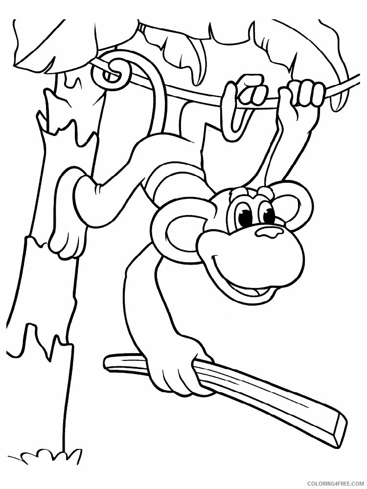 Monkey Coloring Pages Animal Printable Sheets Monkey animal 342 2021 3321 Coloring4free