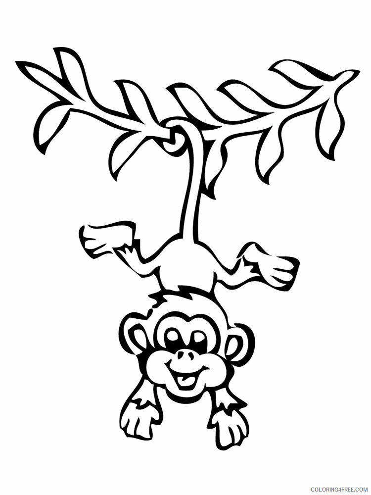 Monkey Coloring Pages Animal Printable Sheets Monkey animal 367 2021 3330 Coloring4free