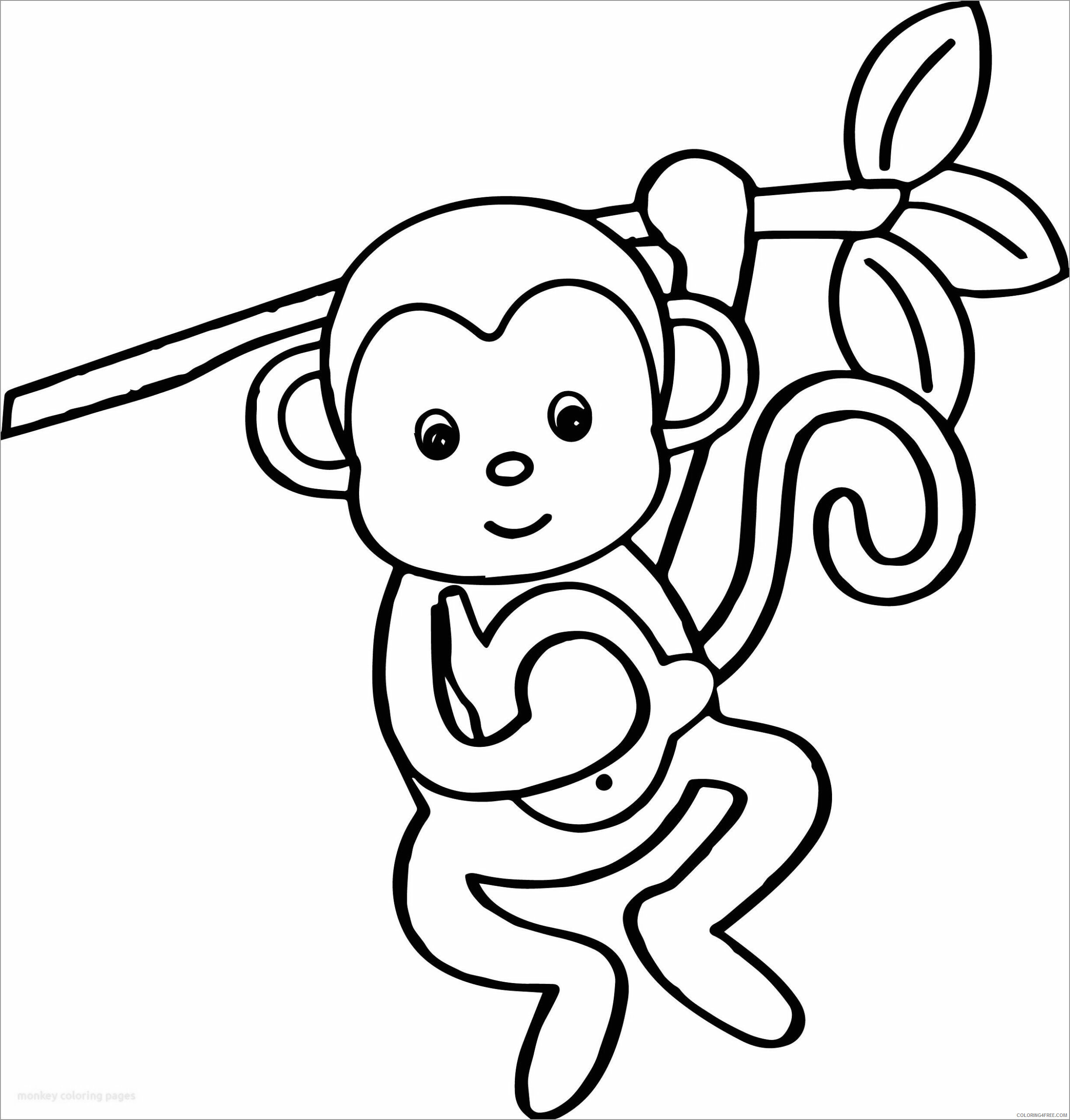 Monkey Coloring Pages Animal Printable Sheets monkey in a tree 2021 3353 Coloring4free